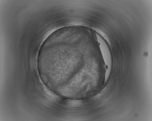 X0000091981039200709201422