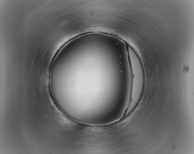 X0000091981040200709201422