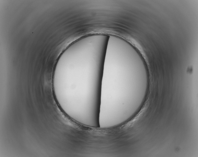 X0000091981041200709201422