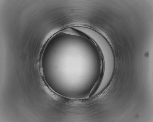 X0000091981042200709201422