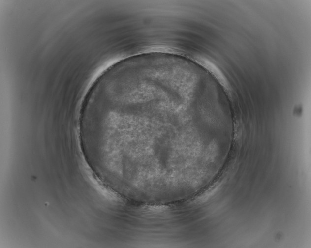 X0000091981043200709201422