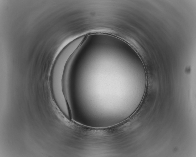 X0000091981044200709201422