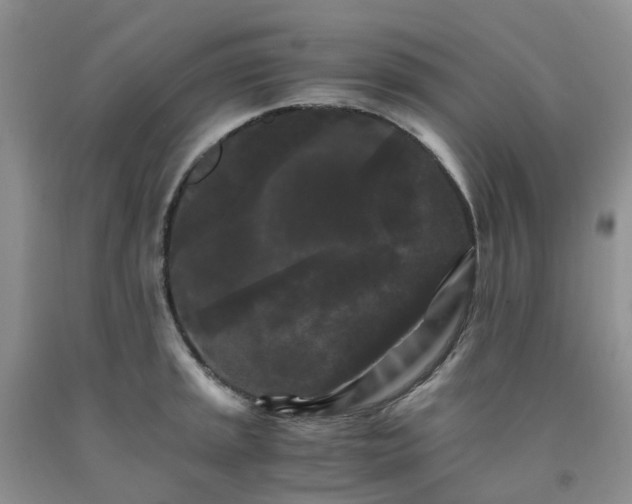 X0000091981045200709201422