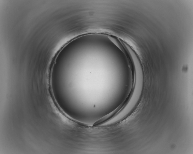 X0000091981046200709201422