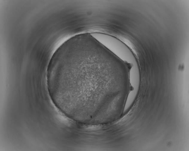 X0000091981047200709201422