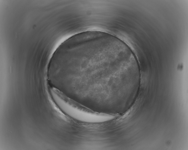 X0000091981048200709201422