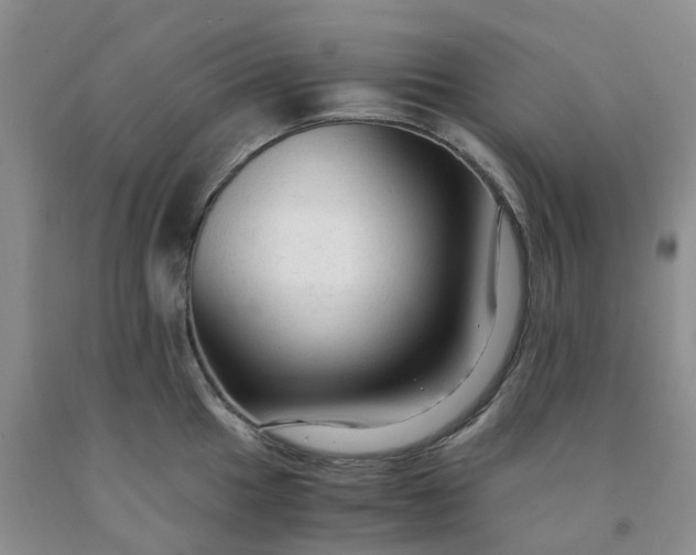 X0000091981049200709201422