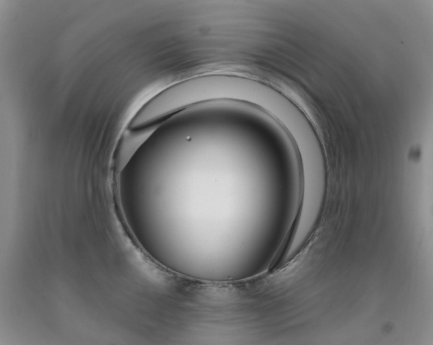 X0000091981050200709201422