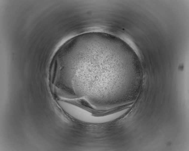 X0000091981051200709201422