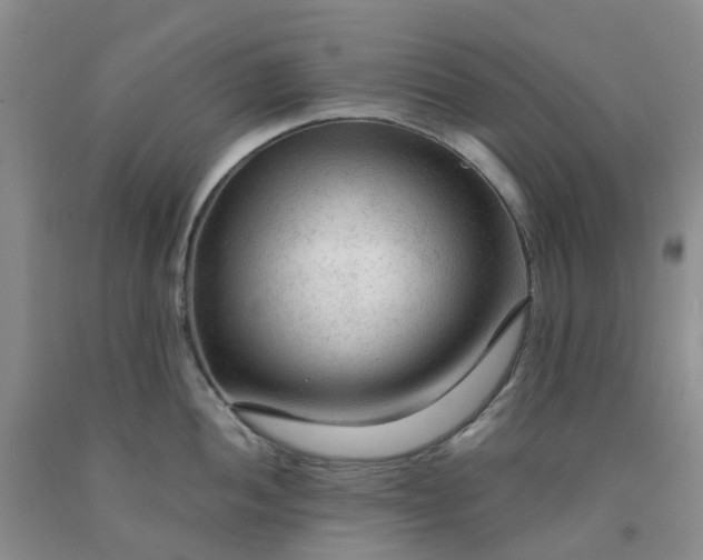 X0000091981052200709201422