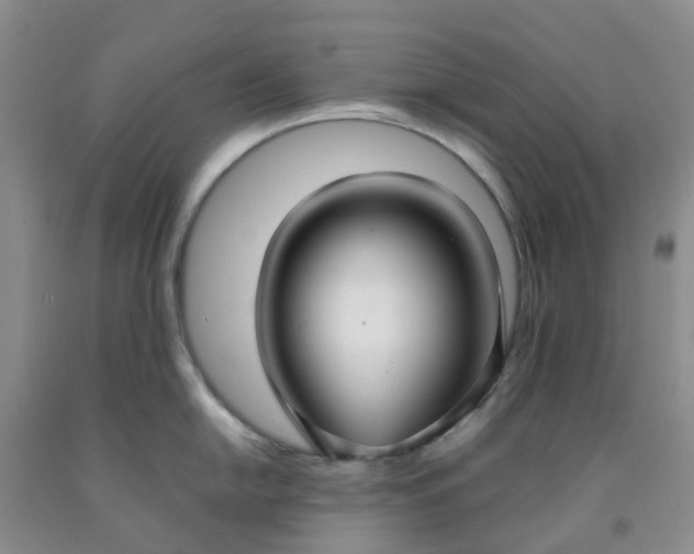 X0000091981054200709201422