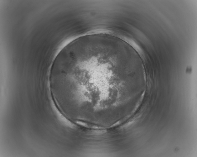 X0000091981055200709201422