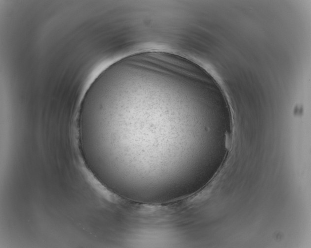 X0000091981056200709201423