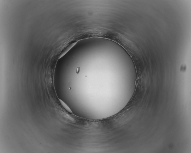 X0000091981058200709201422