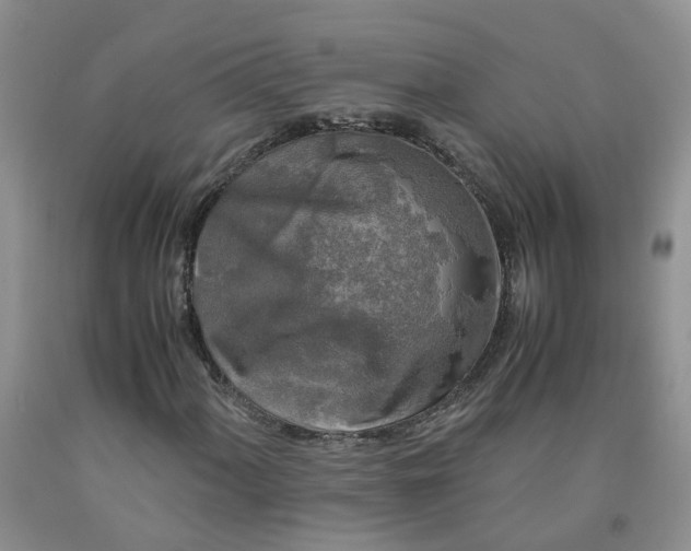 X0000091981060200709201422