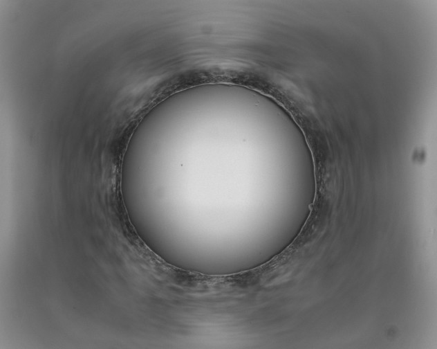 X0000091981061200709201422