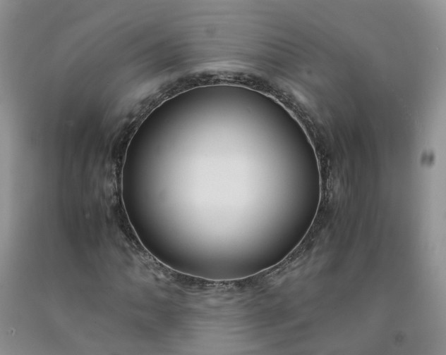 X0000091981062200709201422