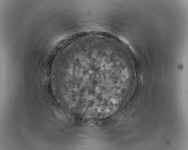 X0000091981063200709201422