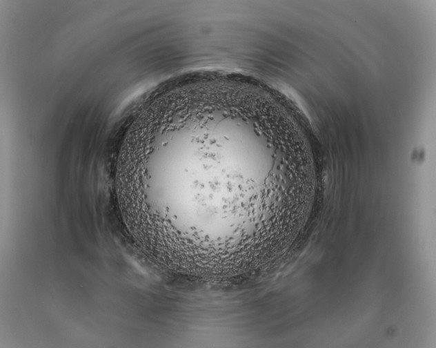 X0000091981064200709201422