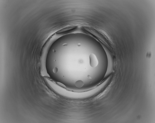 X0000091981065200709201422