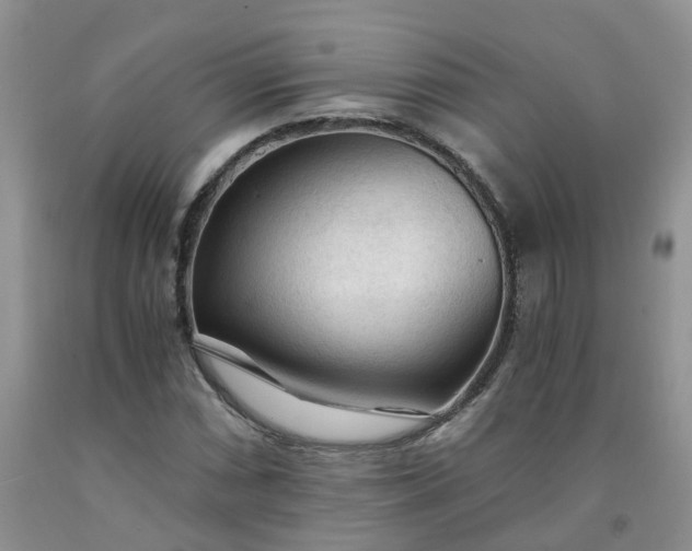 X0000091981066200709201422