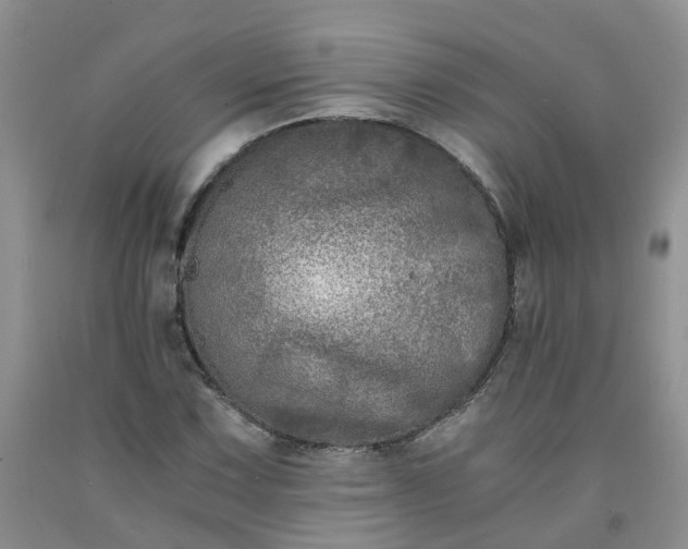 X0000091981067200709201422