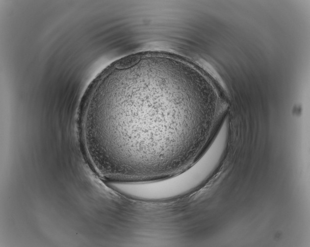 X0000091981068200709201422