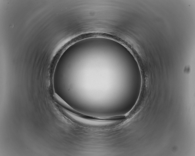 X0000091981069200709201422