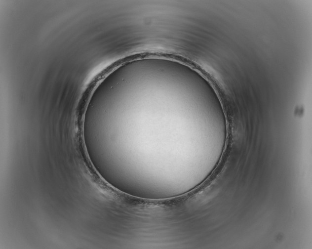 X0000091981070200709201422