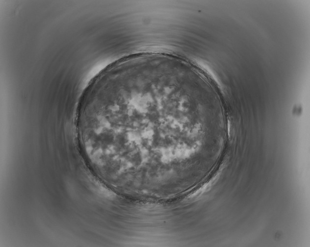 X0000091981071200709201422