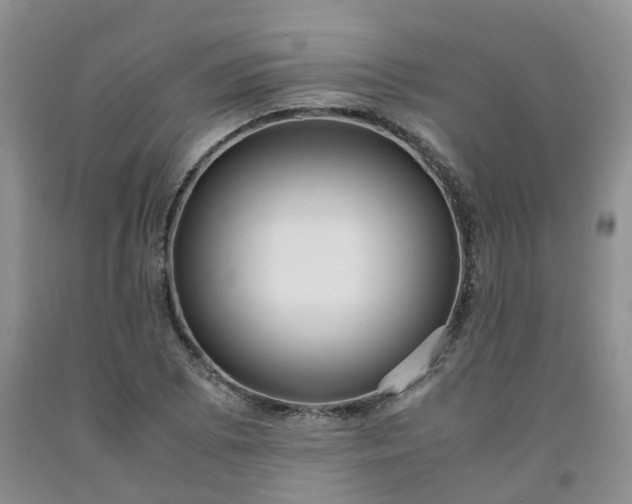 X0000091981073200709201422