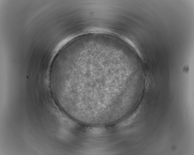 X0000091981074200709201422