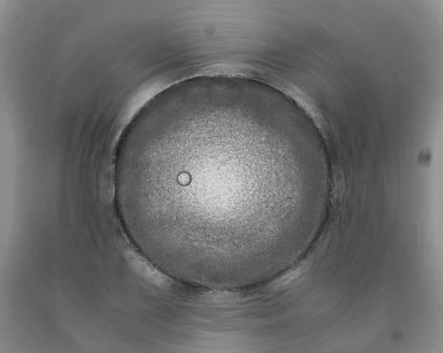 X0000091981075200709201422