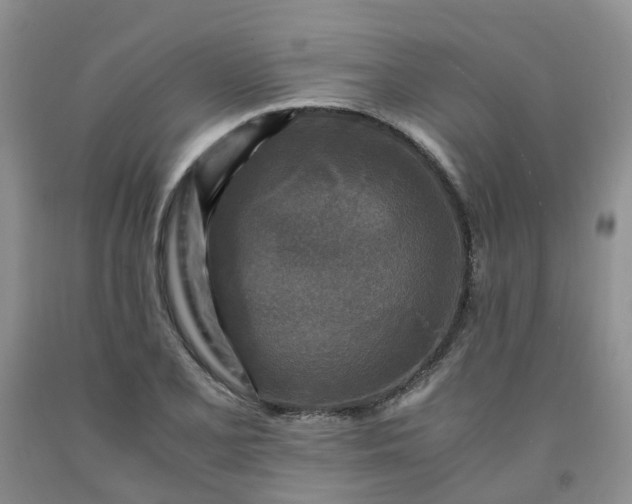 X0000091981077200709201422