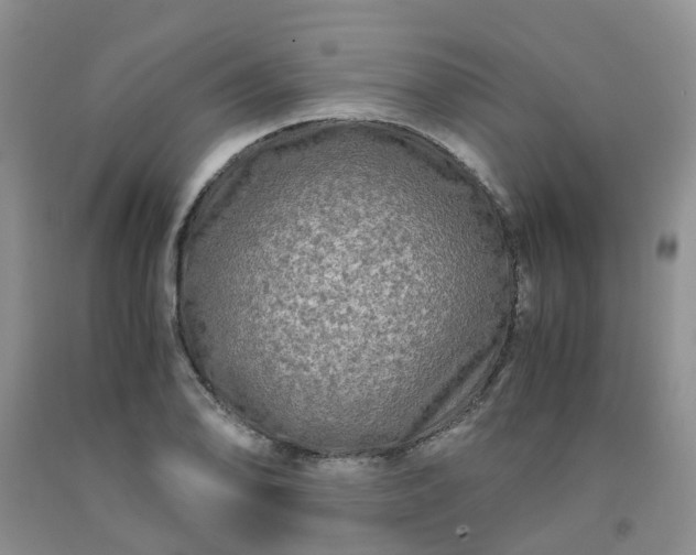 X0000091981078200709201422