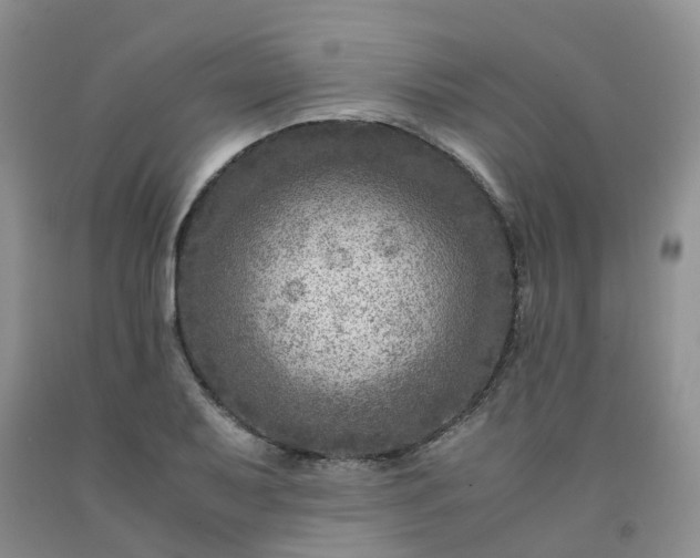 X0000091981079200709201422