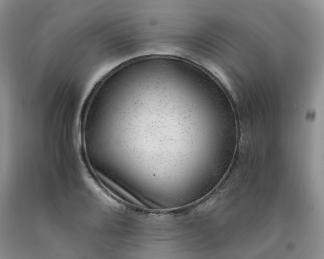 X0000091981080200709201422