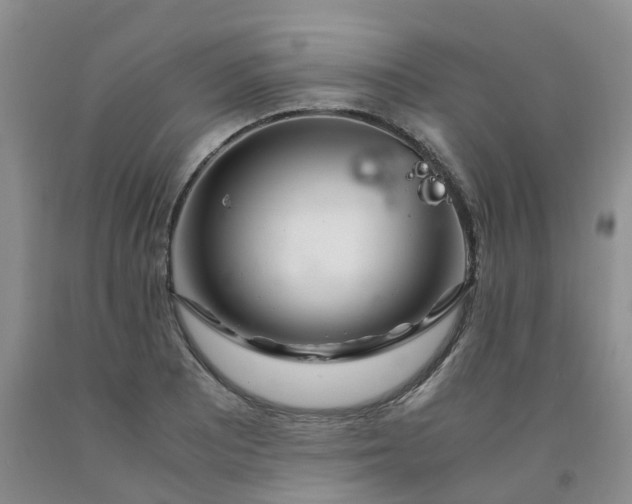 X0000091981081200709201422