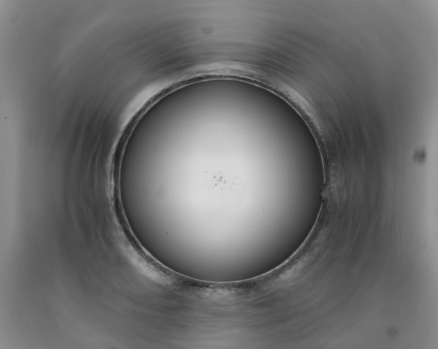 X0000091981082200709201422