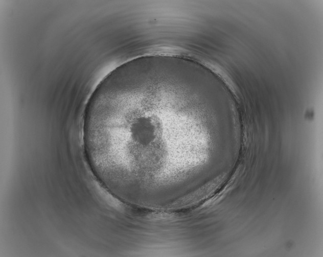 X0000091981083200709201422