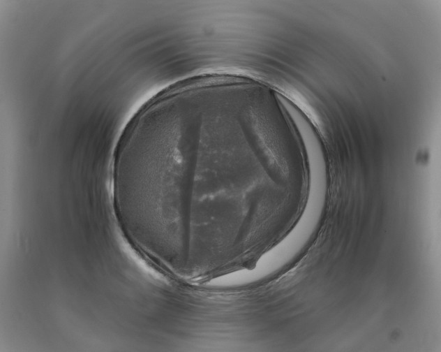 X0000091981084200709201422