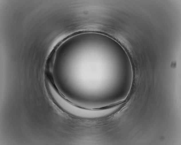 X0000091981085200709201422