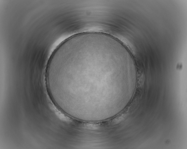 X0000091981086200709201422