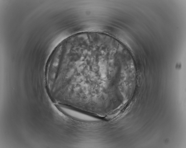 X0000091981087200709201422