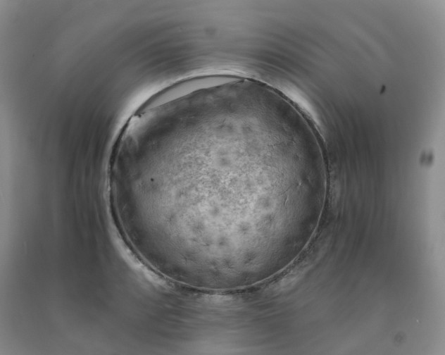 X0000091981088200709201421