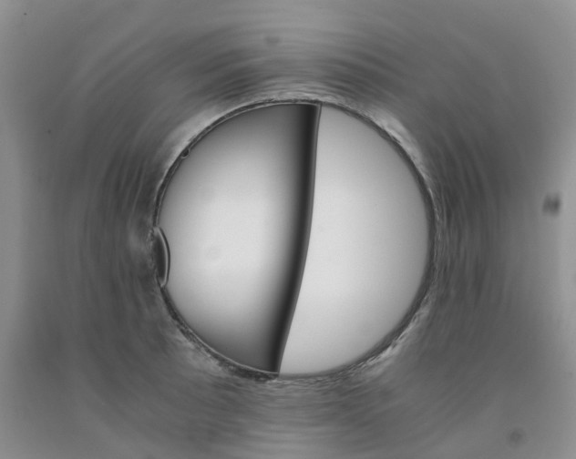 X0000091981089200709201421