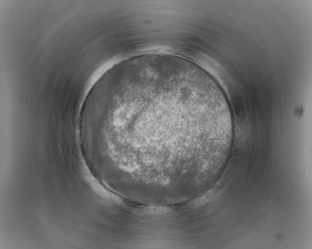 X0000091981090200709201421