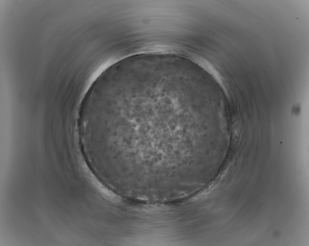 X0000091981091200709201421