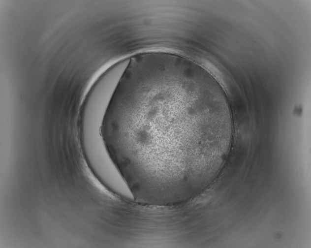 X0000091981092200709201421