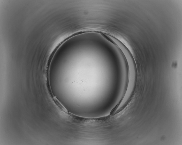 X0000091981093200709201421